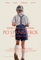 Po strništi bos film online