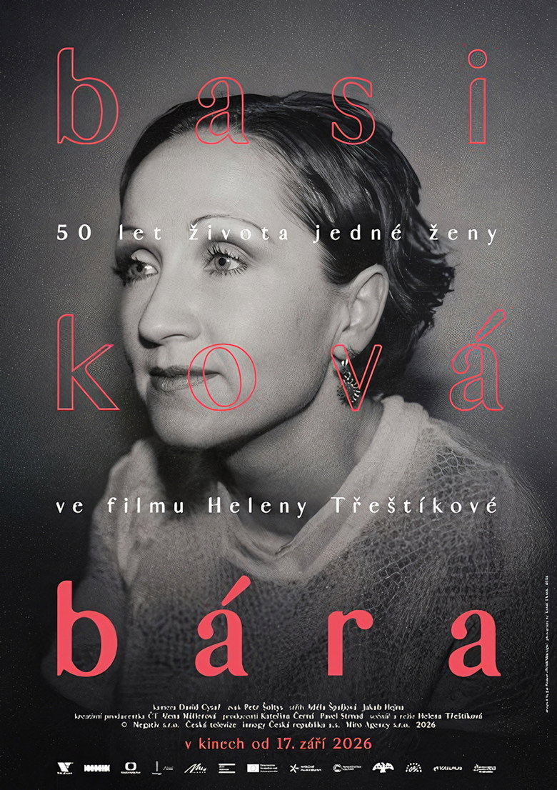 Poster k filmu Bára - Diary of a Rockstar