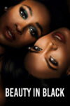 Poster k filmu Beauty in Black – 3. séria