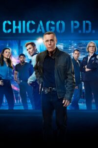 Poster k filmu Chicago P.D. – 14. séria