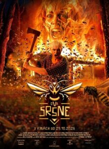 Poster k filmu Dva Sršne