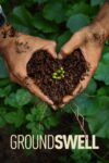 Poster k filmu Groundswell