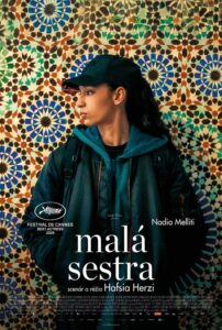 Poster k filmu Malá sestra