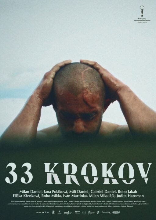 Poster k filmu 33 krokov