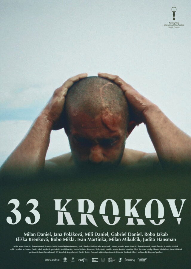 Poster k filmu 33 krokov
