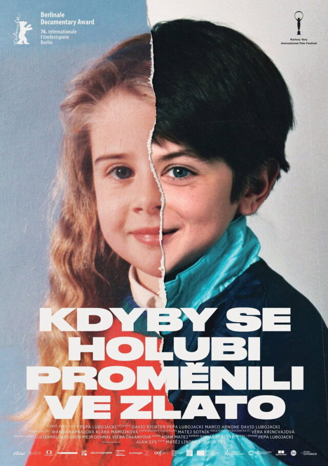 Poster k filmu Kdyby se holubi proměnili ve zlato