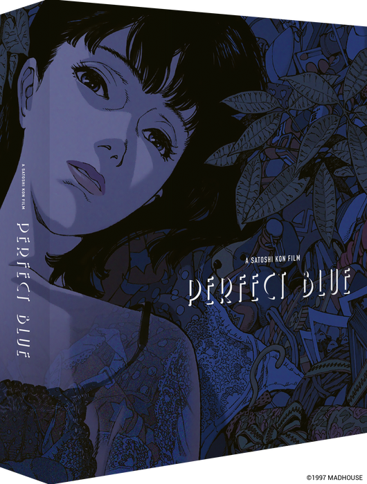Poster k filmu Perfect Blue