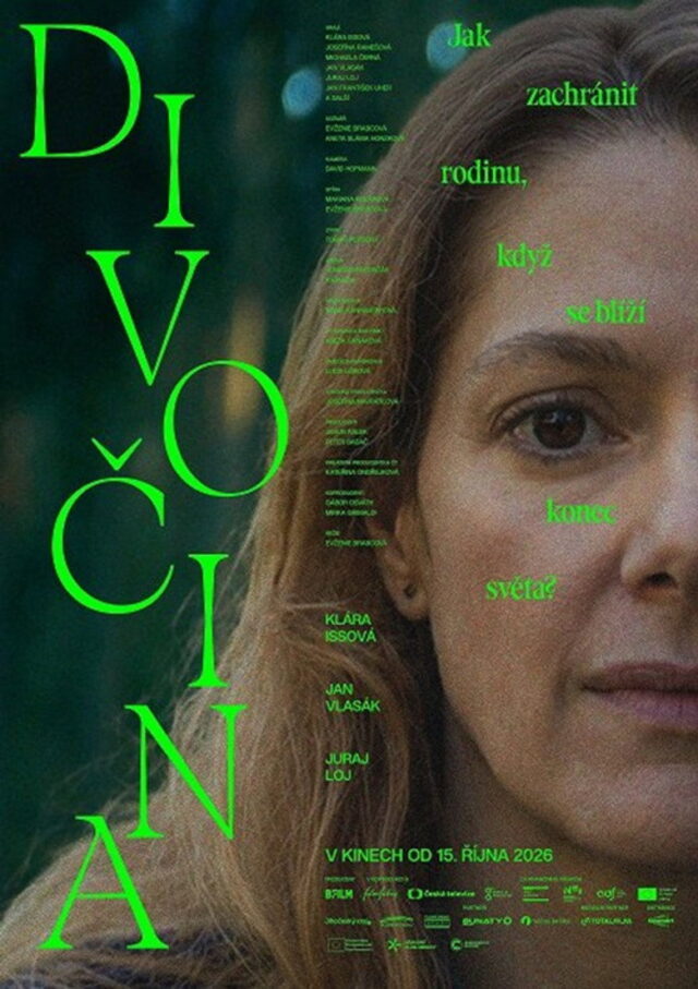 Poster k filmu Divočina