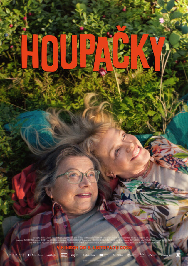 Poster k filmu Houpačky
