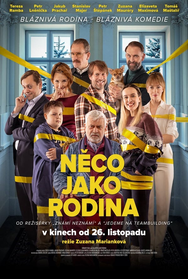 Poster k filmu Niečo ako rodina