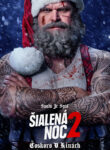 Poster k filmu Šialená noc 2