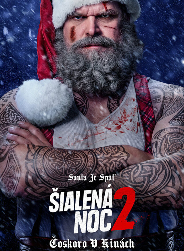 Poster k filmu Šialená noc 2